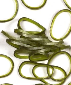 Choon's Design LLC RL Band (Medieval 600) Avocado Rainbow Loom Rubber Bands